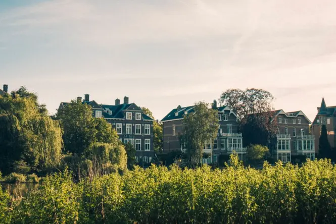 Paths and lawns in Vondelpark