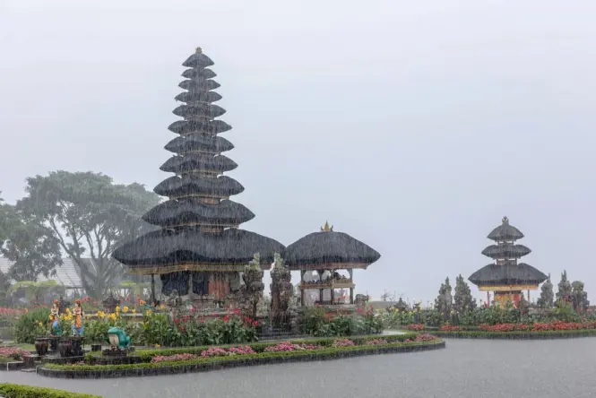 Tropical rain falling over Bali jungle during wet season