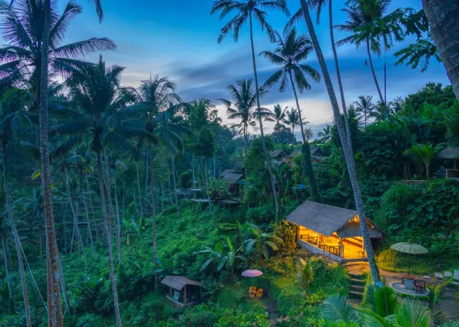 Yoga pavilion surrounded by Bali jungle