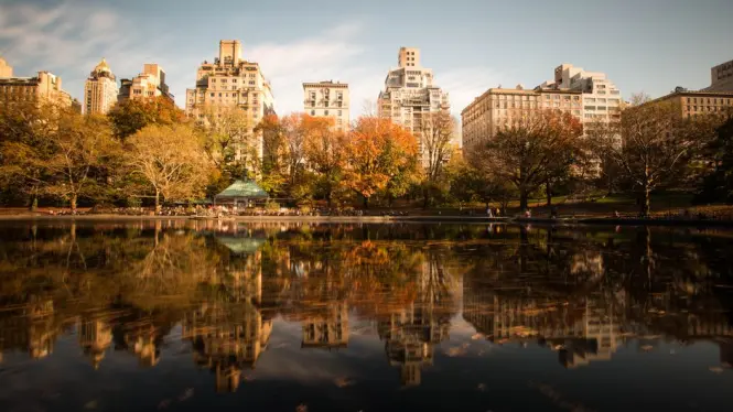 Central Park in New York