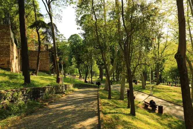 Lush green trees and walking paths inside Gulhane Park in Istanbul.