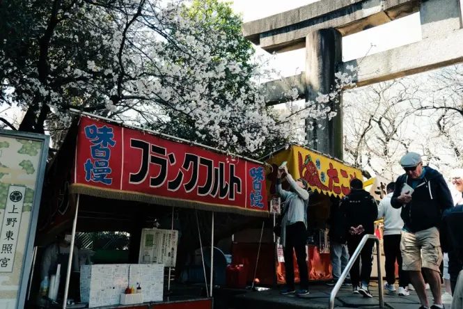 People walking under blooming cherry blossom trees in Ueno Park