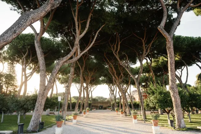 Grassy palaestra field at the Baths of Caracalla