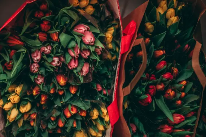 Packaged tulip bulbs for sale at the market