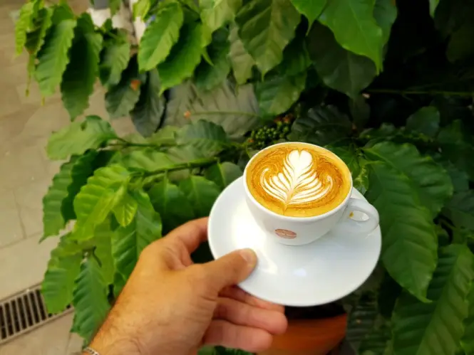 Outdoor cafe courtyard serving coffee and pastries near a garden entrance