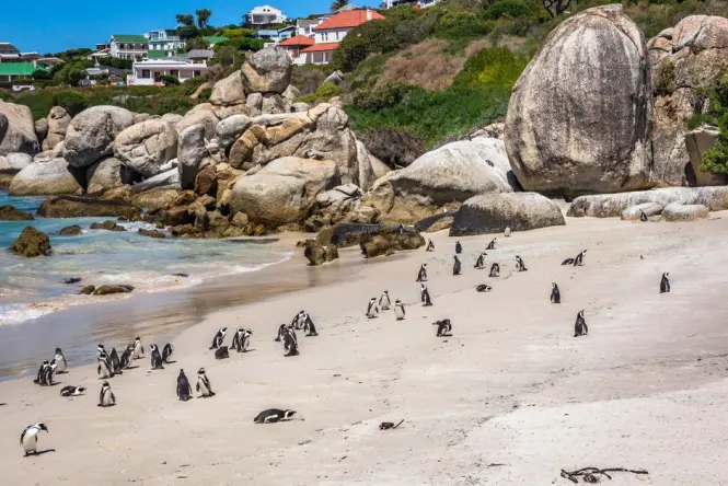 Boulders Beach main exterior view