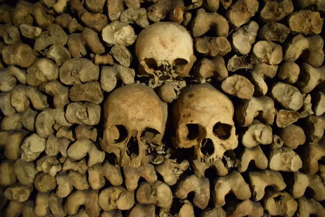 Skeletons lining the walls of the Catacombs of Paris
