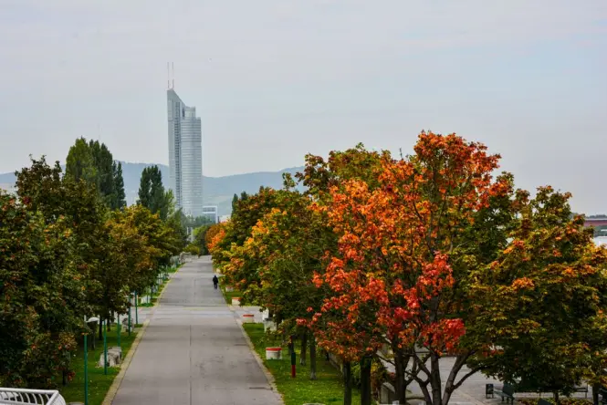 Walking path through Donaupark near the Danube Tower in Vienna