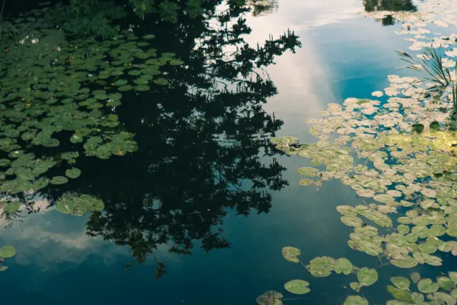 Sarphatipark pond and lawns in De Pijp