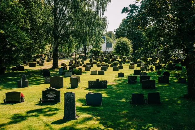 Gothic Revival monuments among trees in Dean Cemetery near Dean Village