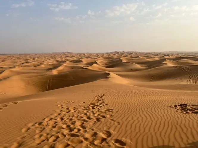 Getting to Desert Safari in Dubai
