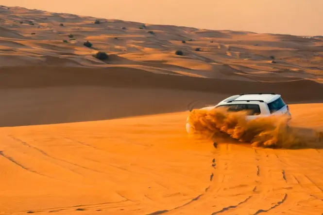 Tickets and entrance at Desert Safari