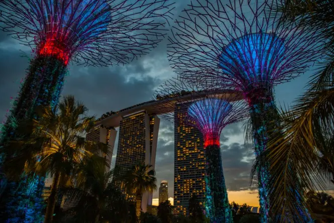 Gardens by the Bay at golden hour