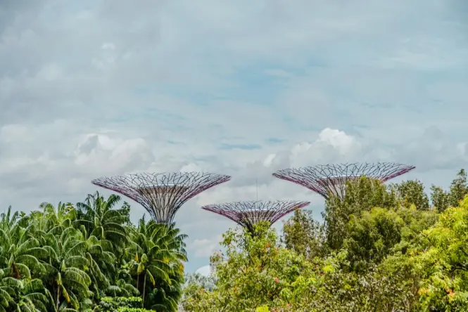 Inside Gardens by the Bay