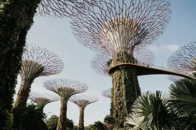 Getting to Gardens by the Bay in Singapore