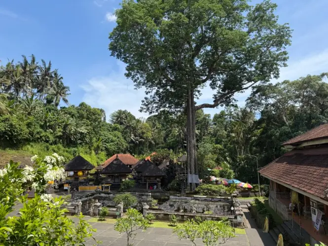 Jungle shrine near the Petanu River below Goa Gajah