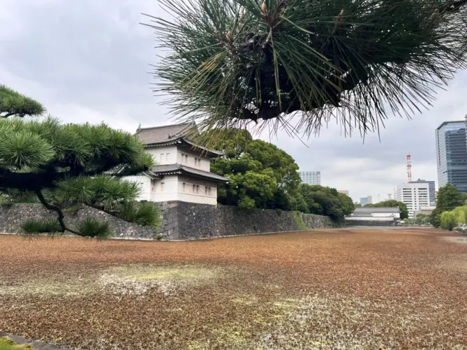 Otemon Gate entrance to Imperial Palace East Gardens