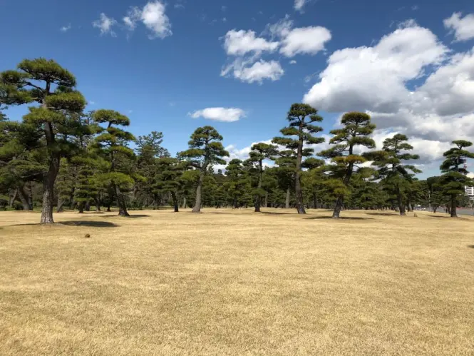 Tenshu-dai keep foundation platform in East Gardens