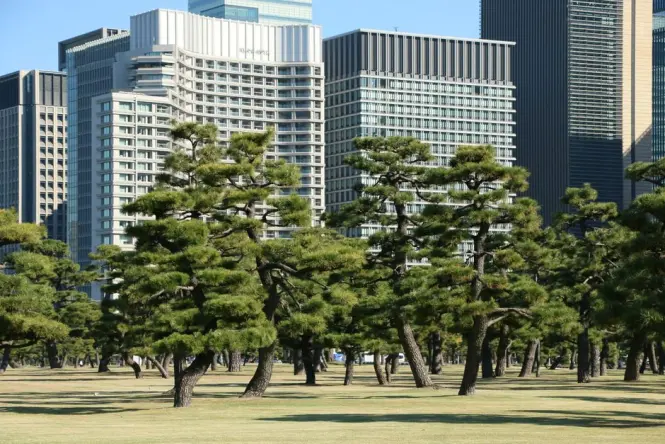 Sakurada Gate along the Imperial Palace perimeter