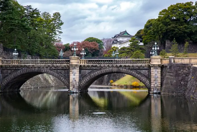 Imperial Palace moat with cherry blossoms in spring