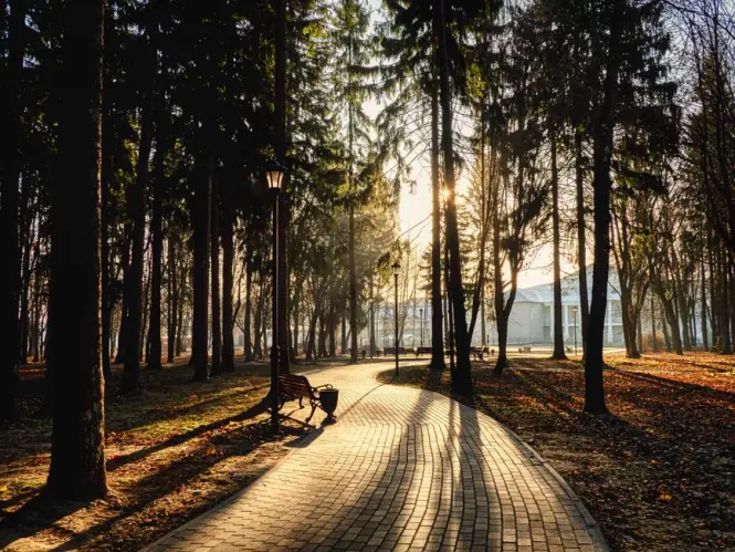 Quiet garden pathway during morning hours before crowds arrive