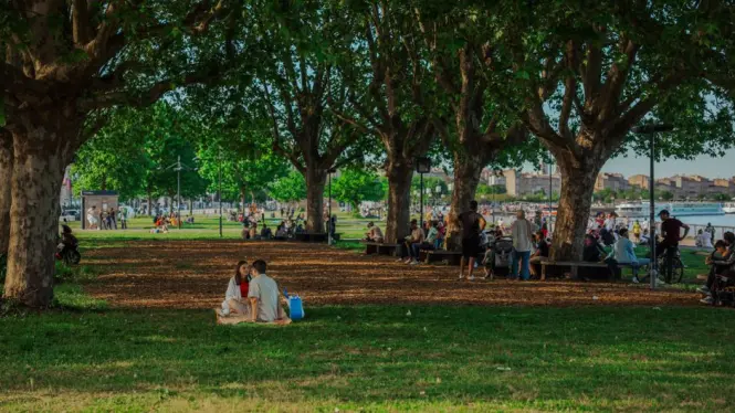 Green lawns in Jardin Public