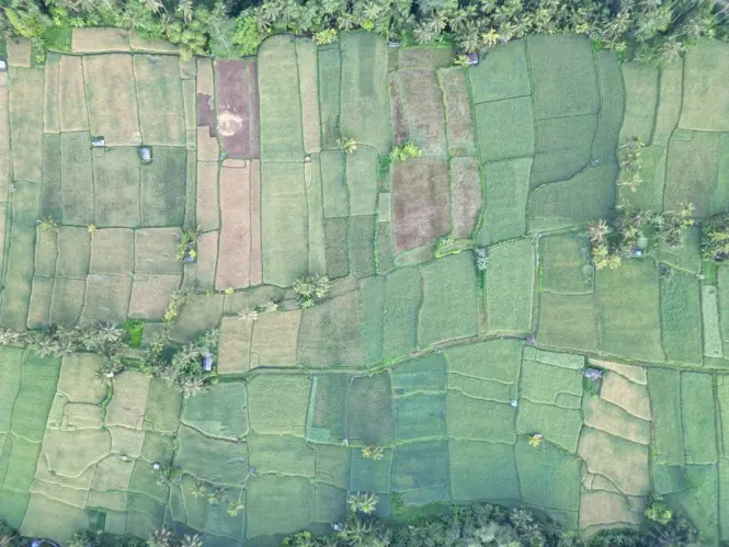 Subak irrigation canal running through Balinese rice terraces