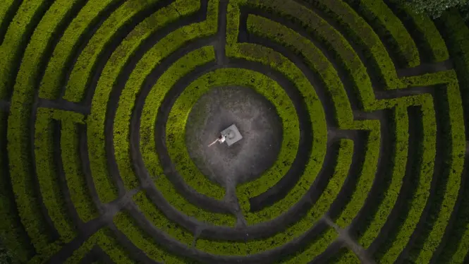 Aerial view of the hedge maze at Canopy Park in Jewel Changi Airport