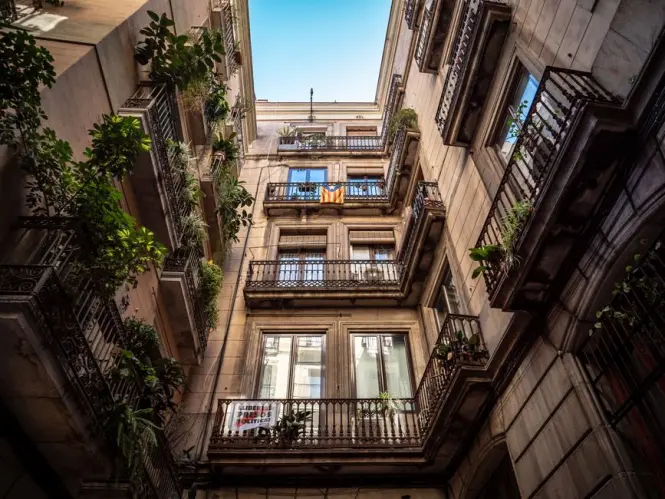 A quiet morning view of La Rambla with sunlight filtering through the trees