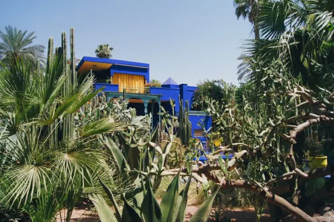 Exotic plant section with cacti and succulents at Le Jardin Secret