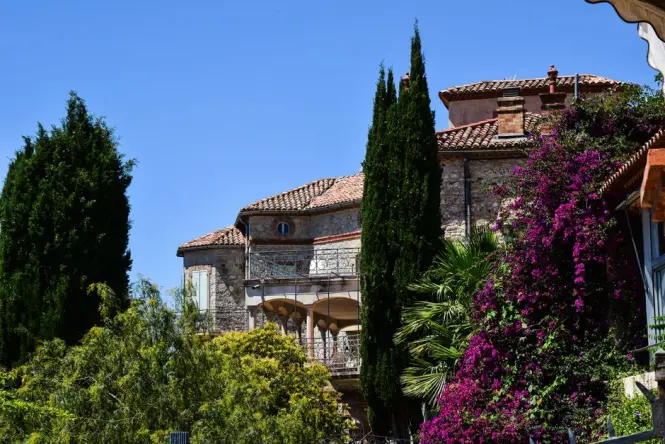 Museum garden in Nice France