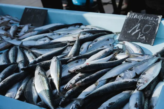 Fresh fish display at a French market stall