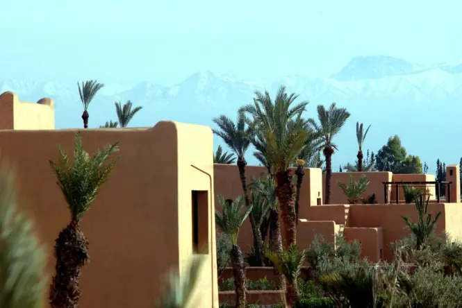 Snow-capped Atlas Mountains reflected in the Menara Gardens pool at sunrise