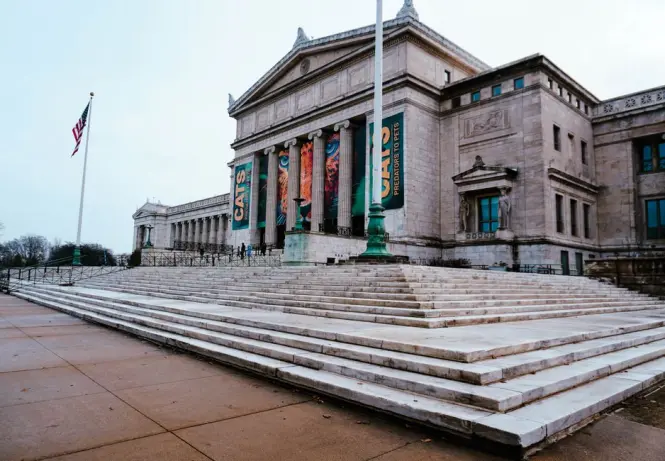 Fifth Avenue steps and entrance of the Metropolitan Museum of Art