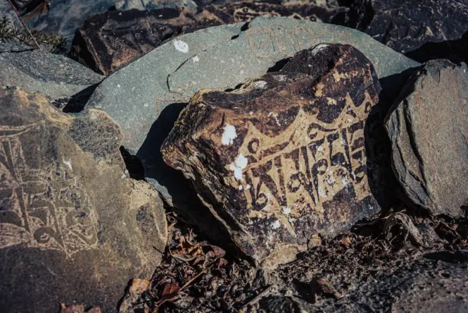 Weathered sandstone carving marking the historic 1810 seat at Mrs Macquarie's Chair