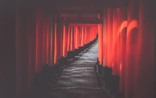 Senbon Torii gate path at Nezu Shrine
