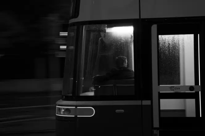 Open-air tram traveling through a forested zone at Night Safari
