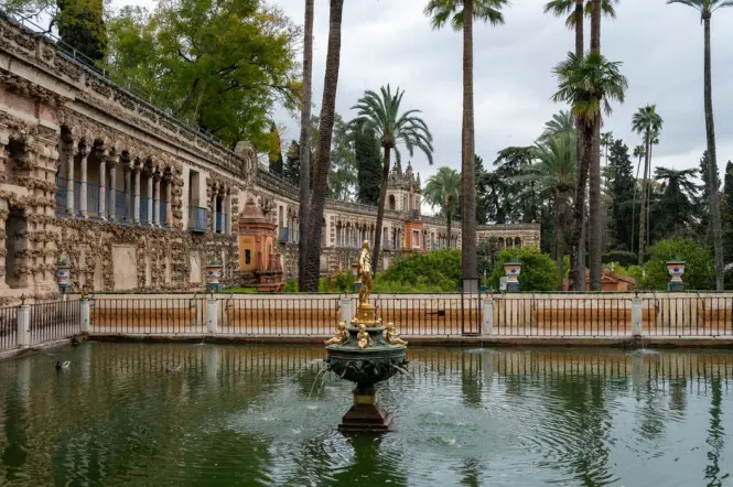 Subtropical plants and tall trees in the gardens of the Norman Palace