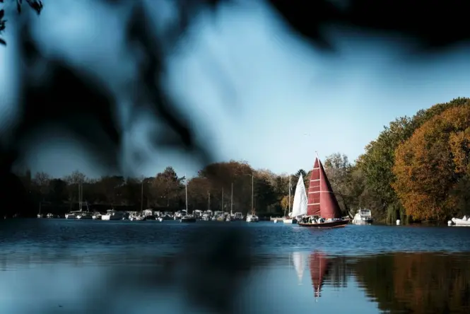 Boats on the lake at Parc de la Tete d Or