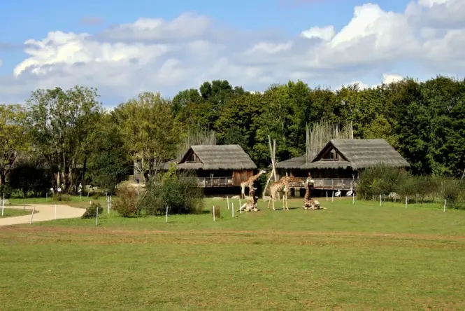 Zoo area in Parc de la Tete d Or