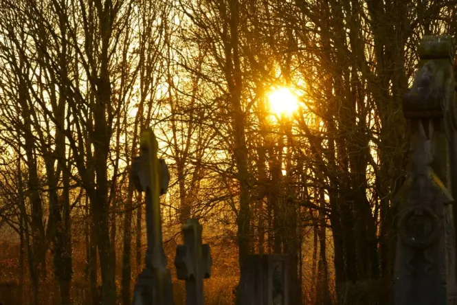 Père Lachaise Cemetery at golden hour