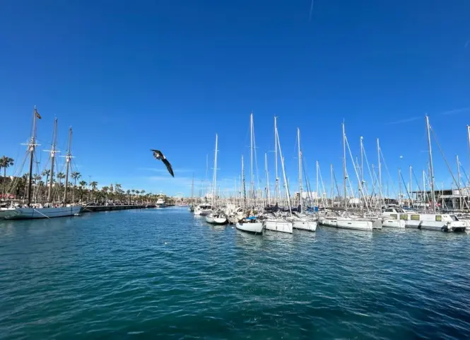 Rambla del Mar wooden bridge at Port Vell