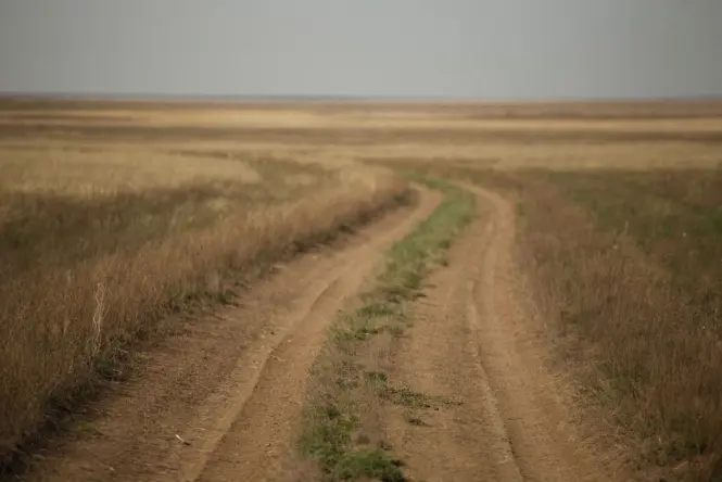 Dirt trail winding through pampas grassland inside the reserve