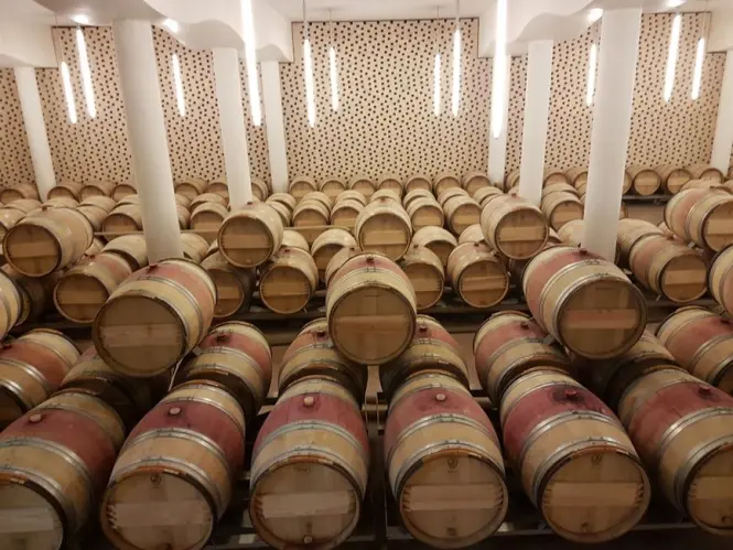 Wine tasting in Saint-Émilion