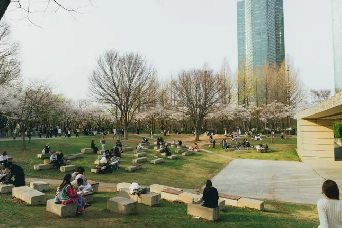 Families relaxing on picnic blankets across a wide lawn at Seoul Forest