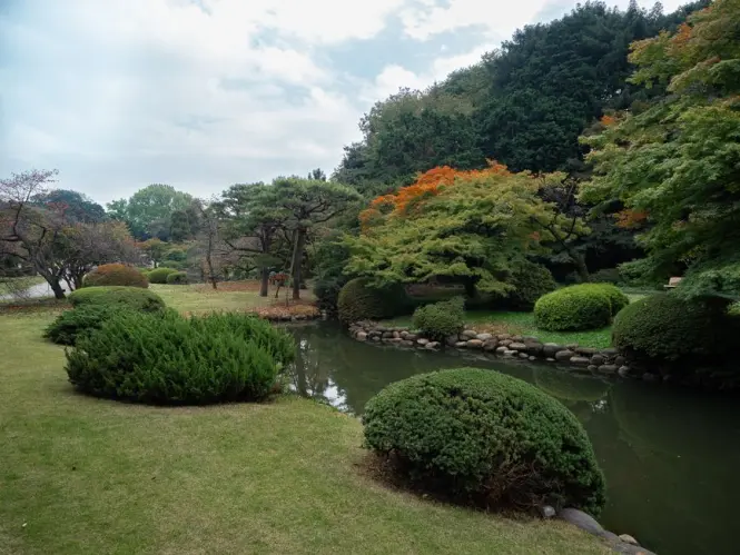Shinjuku Gyoen at golden hour