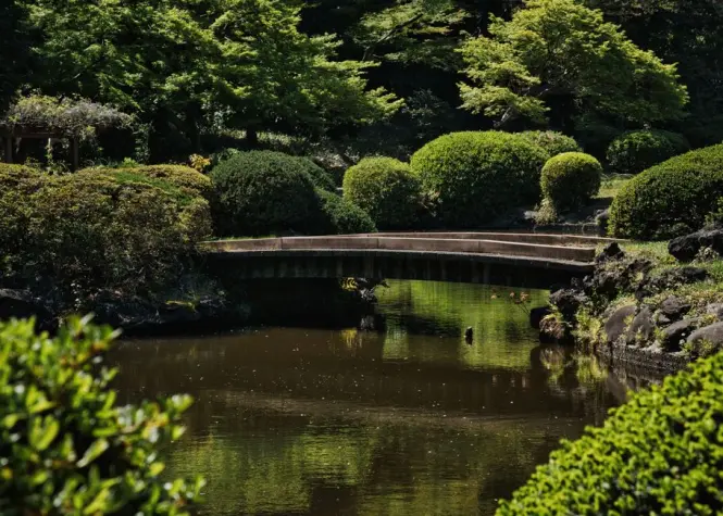 Inside Shinjuku Gyoen