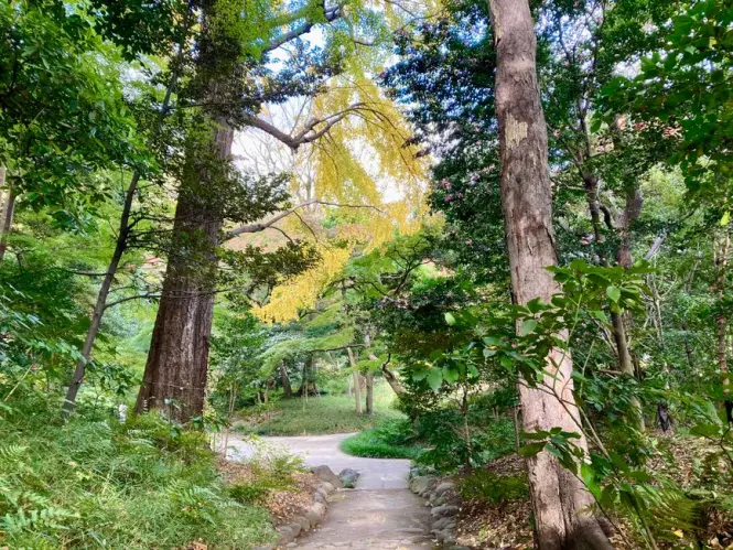 Getting to Shinjuku Gyoen in Tokyo