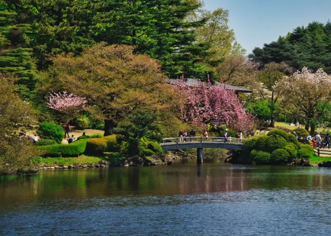 Tickets and entrance at Shinjuku Gyoen