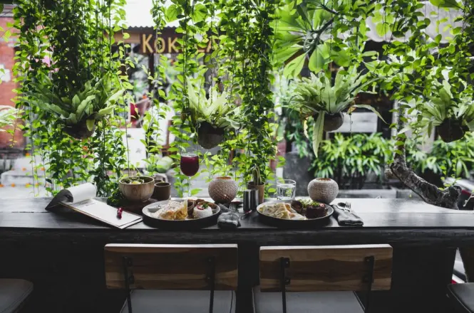 An outdoor dining deck surrounded by thick tropical green foliage